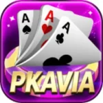 PKAVIA Game
