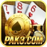 PAK3 Game