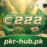 C222 Game